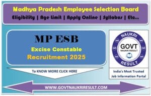 MPESB Excise Constable Online Form 2025